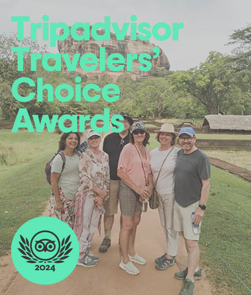 Traworlux Sri Lanka Earns Prestigious TripAdvisor Travelers’ Choice Award 2024